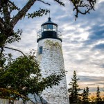 100413_Koster_Castine_001
