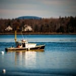 110613_Koster_Castine_001