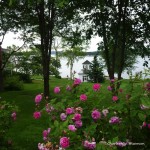 Boathouse – Castine Style Charlene Wiseman (2)