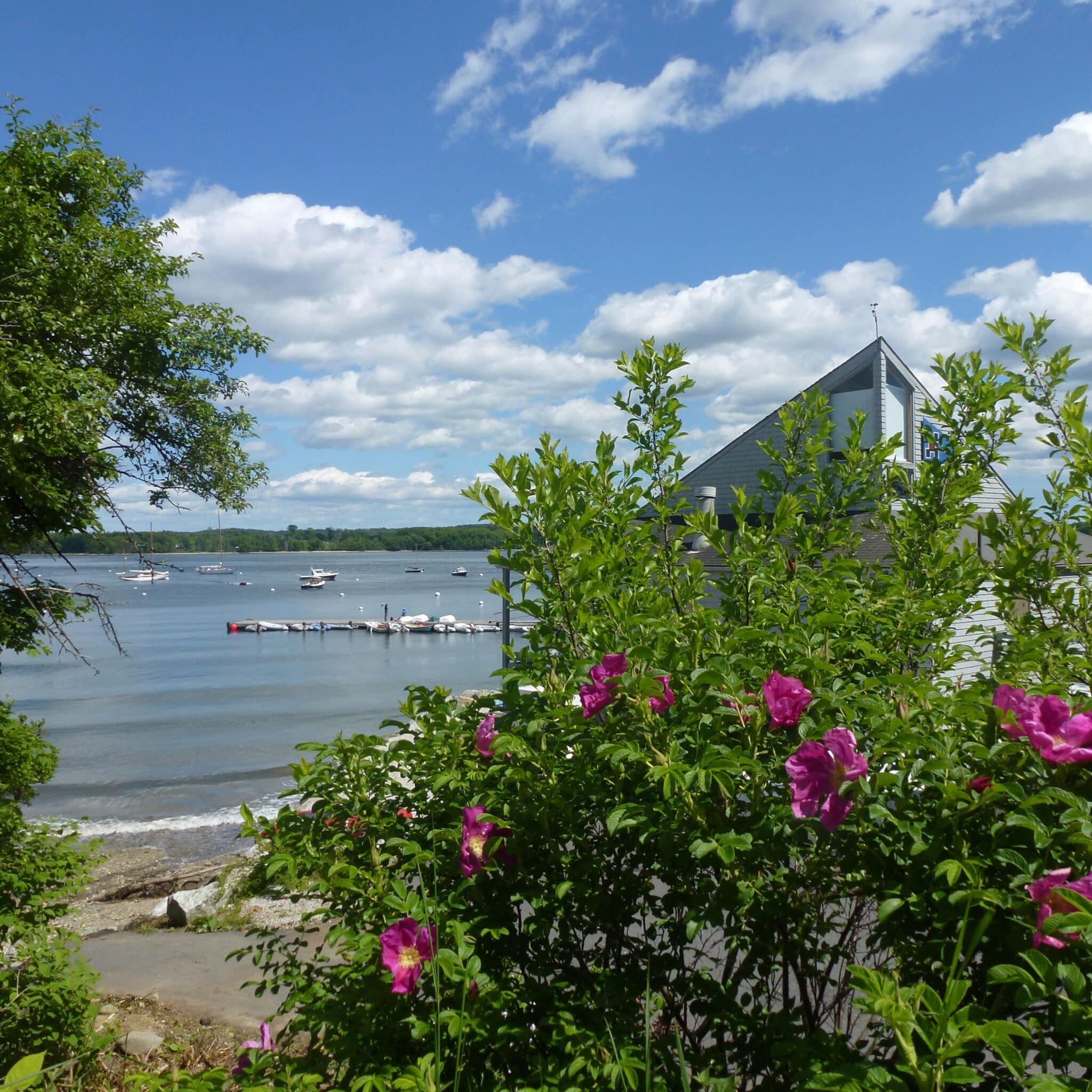 castine yacht club maine