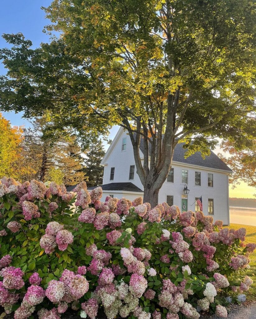 A home in Castine