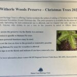 2023 Witherle Woods Christmas Tree flyer